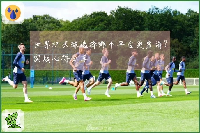 世界杯买球选择哪个平台更靠谱？实战心得分享