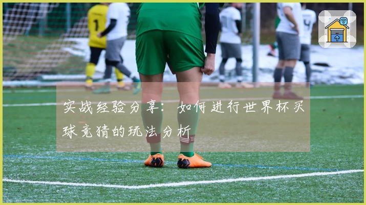 实战经验分享：如何进行世界杯买球竞猜的玩法分析