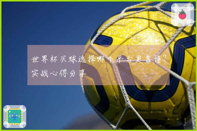 世界杯买球选择哪个平台更靠谱？实战心得分享