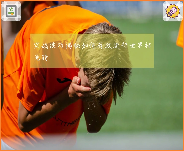 实战技巧揭秘如何有效进行世界杯竞猜