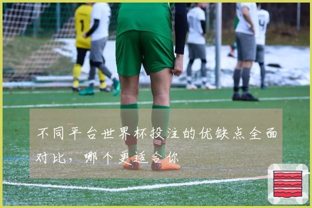 不同平台世界杯投注的优缺点全面对比，哪个更适合你